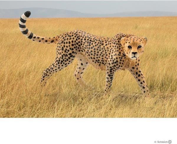 Produktbild Schleich Gepard weibliche