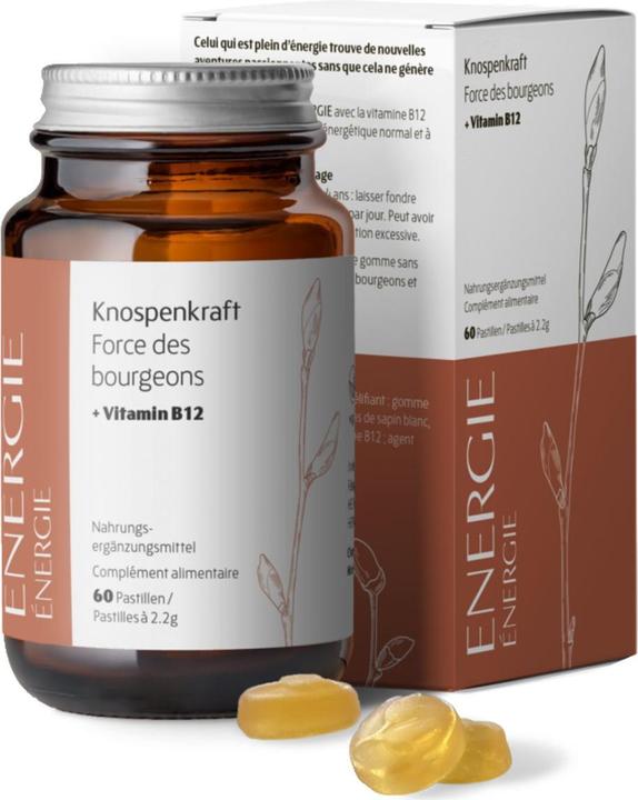 Produktbild Heidak Knospenkraft Pastillen Energie (60 Stück, Pastillen, 287 g)