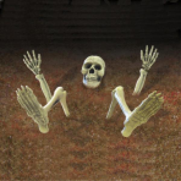 Actual product image Amscan 9-piece floor decoration skeleton