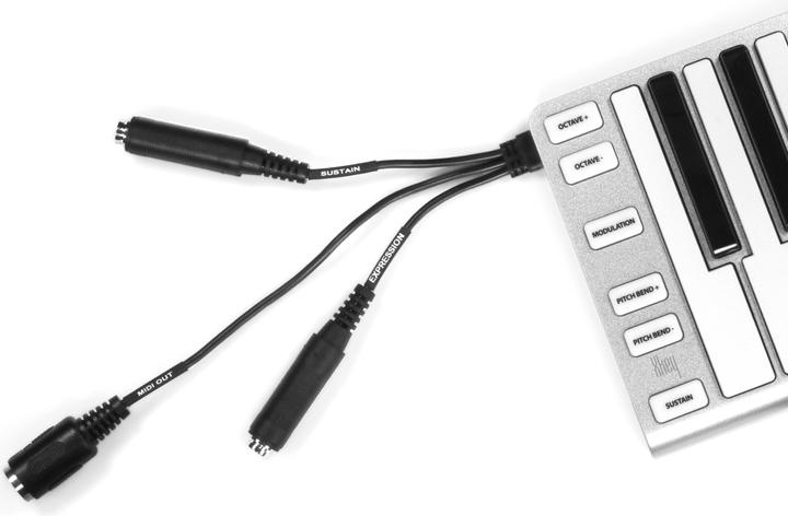 Produktbild ESI Audiotechnik Xkey37 (Keyboard)