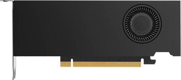 Actual product image NVIDIA Quadro RTX A2000 LP (12 GB)