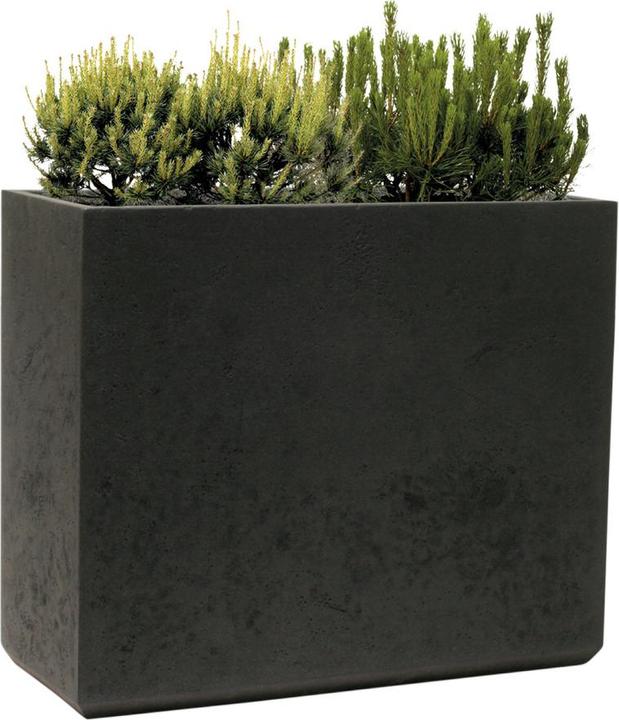 Actual product image Kirschke Rockline (31 cm)