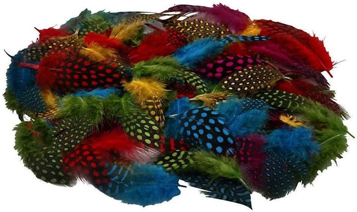 Produktbild Creativ Company Perlhuhn Federn Sortiment