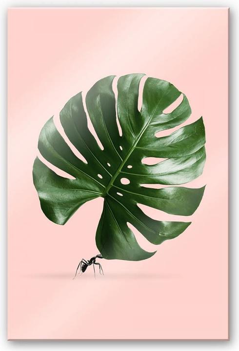 Image du produit Trenddeko Monstera Ant (130 x 200 cm)