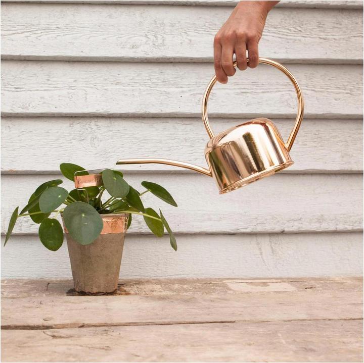 Image du produit Esschert Design Kupferklebeband (30 mm)