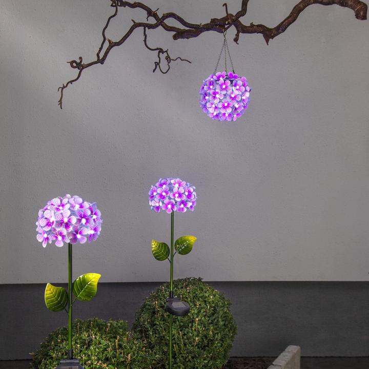 Image du produit Star Trading Hortensia (IP44)