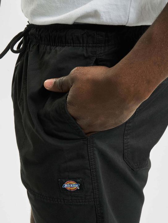 Actual product image Dickies Pelican Rapids fabric shorts - 91859 (S)
