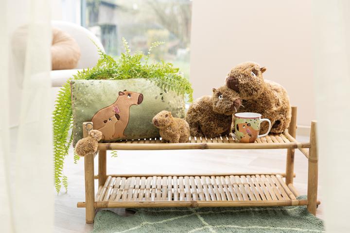 Image du produit NICI 61226 Coussin Capybara Capy-Barbara 43x25cm GREEN (43 x 25 cm)