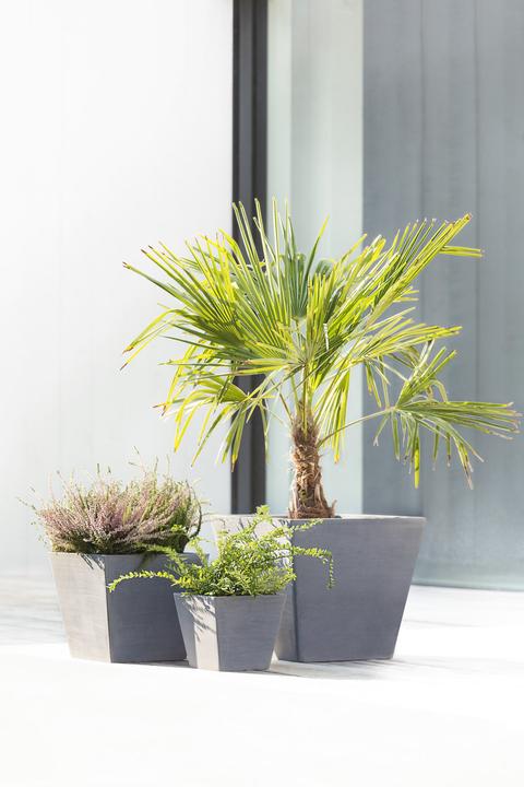 Image du produit Ecopots Rotterdam (40 cm)