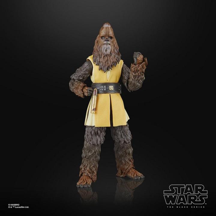 Immagine prodotto Hasbro Star Wars: The Acolyte Black Series Actionfigur Jedi Master Kelnacca 15 cm