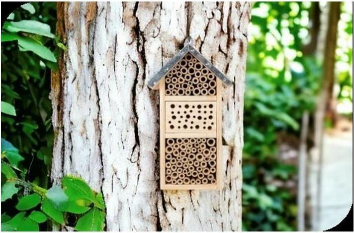 Image du produit Windhager Tiny (Coccinelles, Chansons accrocheuses, Abeilles sauvages, Chrysanthèmes)