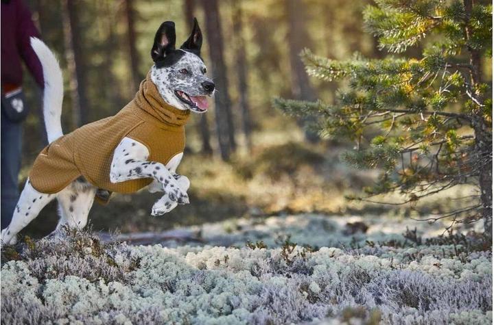 Image du produit Hurtta Manteau d'hiver Warming Midlayer ECO, 40, moutarde (40, Manteau pour chien)