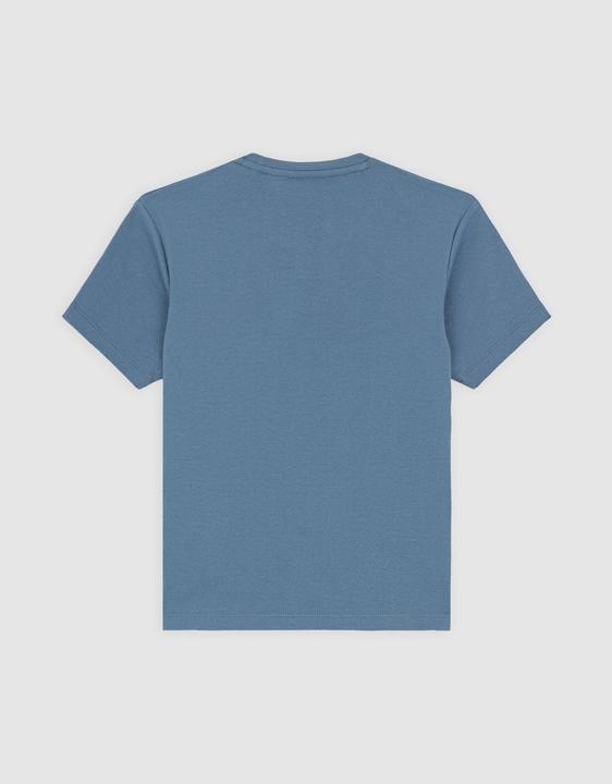 Actual product image Dickies Lewistown Embro SS Tee W (XS)