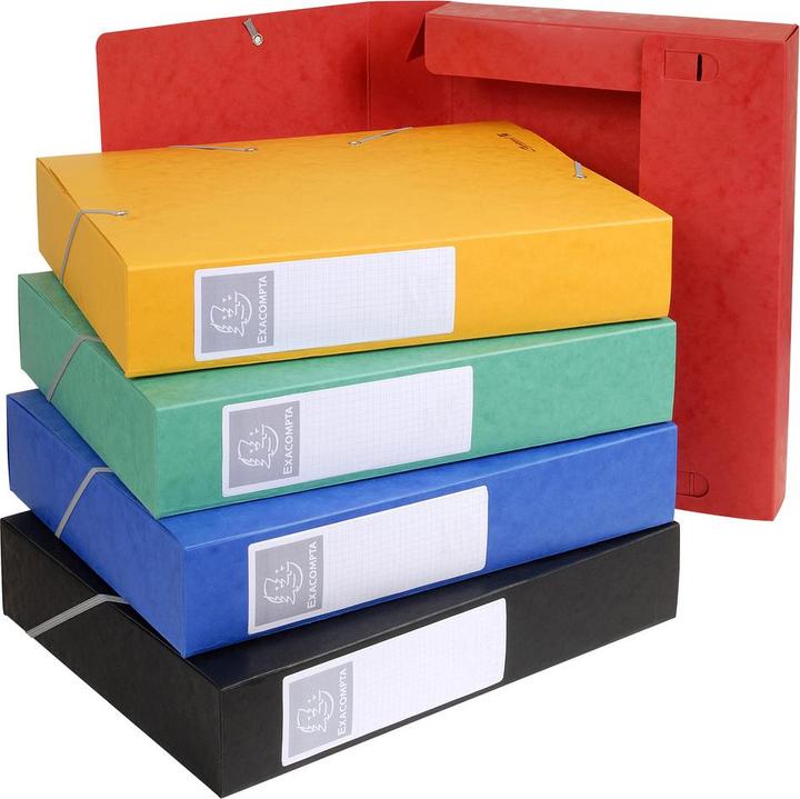 Actual product image Exacompta Archivboxen (A4)