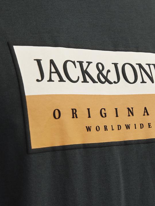 Produktbild Jack & Jones Jorfrederiksberg Box Tee Ss C.N Sn (S)