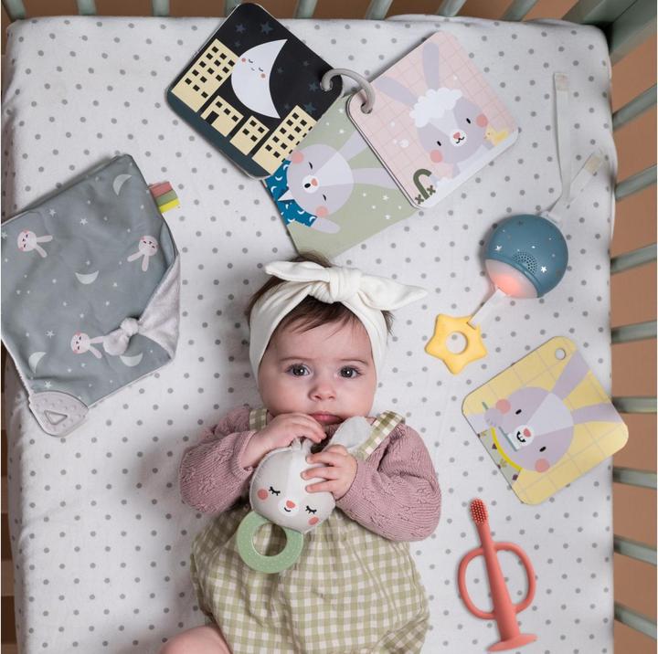 Actual product image Taf Toys Hello Baby