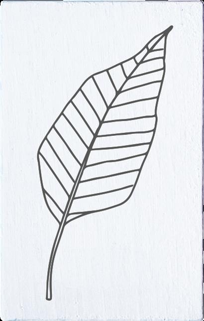 Produktbild Colop Stempel May & Berry