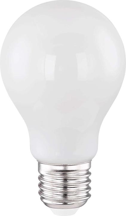 Globo Lampadina a LED argento metallizzato 1xE27 LED (E27, 6.50 W, 10 x, F)
