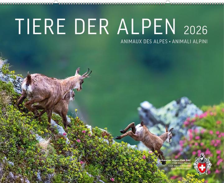 Image du produit Tiere der Alpen 2026 (Allemand)