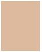 Actual product image Sisley Phyto Complexion Nude No 1W (1W Cream)