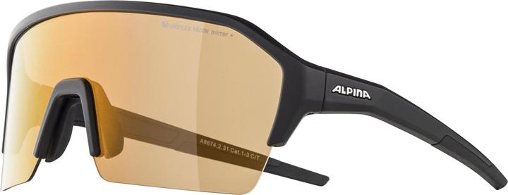 Image du produit ALPINA SPORTS Ram HR Q-Lite V (Noir, Miroir Argent)