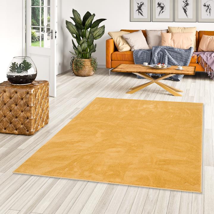 Actual product image Snapstyle Luxury Super Soft high pile long pile carpet Deluxe (160 x 200 cm)