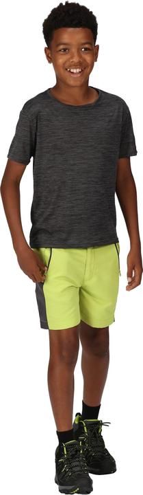 Produktbild Regatta Sorcer Mountain III Shorts (170, 176)
