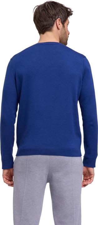 Actual product image Falke FAV Cotton V-Neck m (3XL)