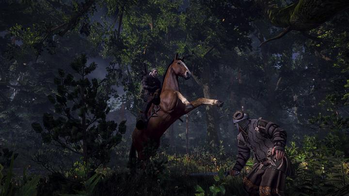 Image du produit The Witcher 3 : Wild Hunt