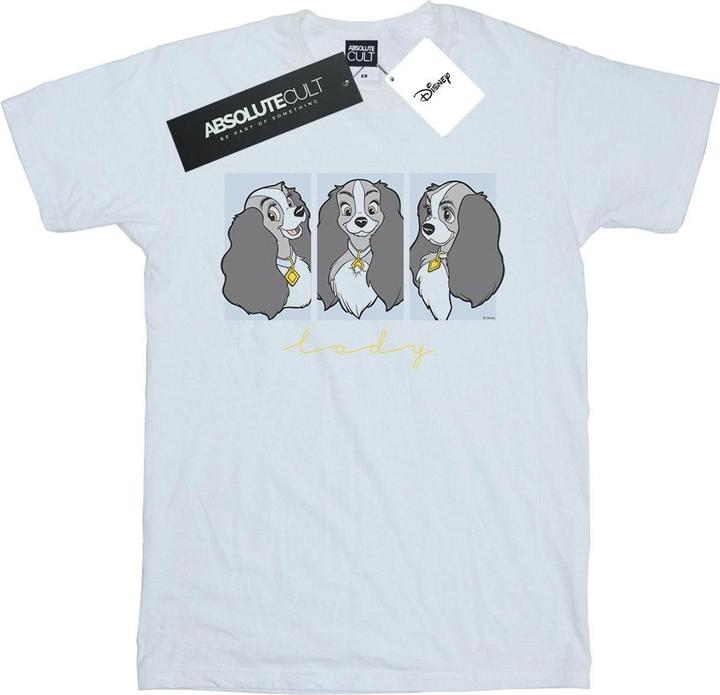 Actual product image Disney Womens/Ladies Lady And The Tramp Lady Frames Cotton Boyfriend T-Shirt (3XL)