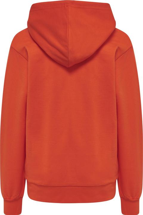 Actual product image hummel Cuatro Hoodie (104)