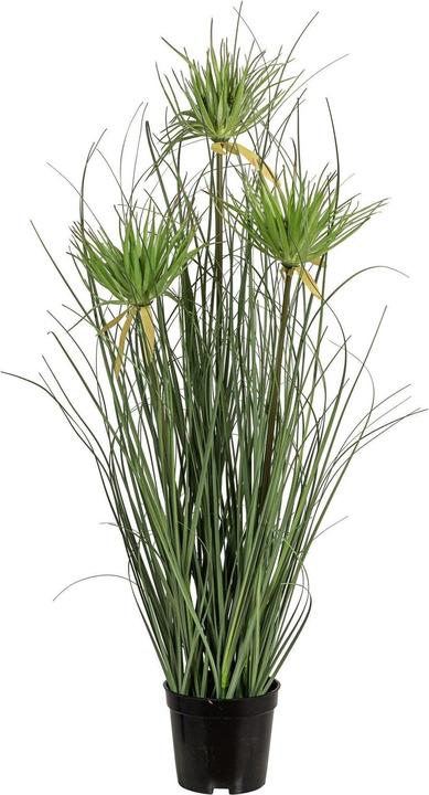 Produktbild Botanic-Haus Kunstpflanze Papyrus (70 cm)