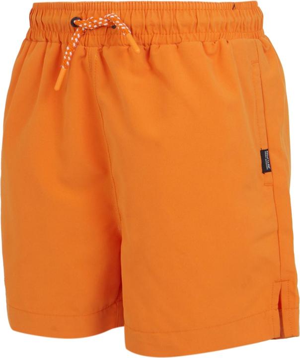 Actual product image Regatta Childrens/Kids Skander III Plain Swim Shorts (140)