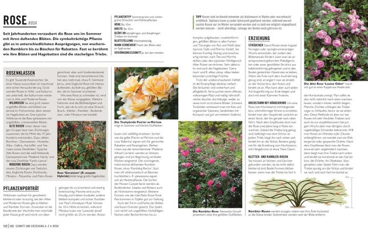 Produktbild Grünes Gartenwissen. Pflanzen richtig schneiden (Deutsch, Stephanie Mahon, Reinhard Ferstl, DK Verlag, 2022)