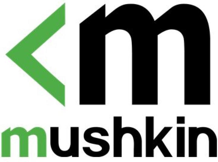 Produktbild Mushkin Tempest 512 GB SSD, PCIe 3.0 x4, NVMe 1.4, M.2 2280 (512 GB, M.2 2280)