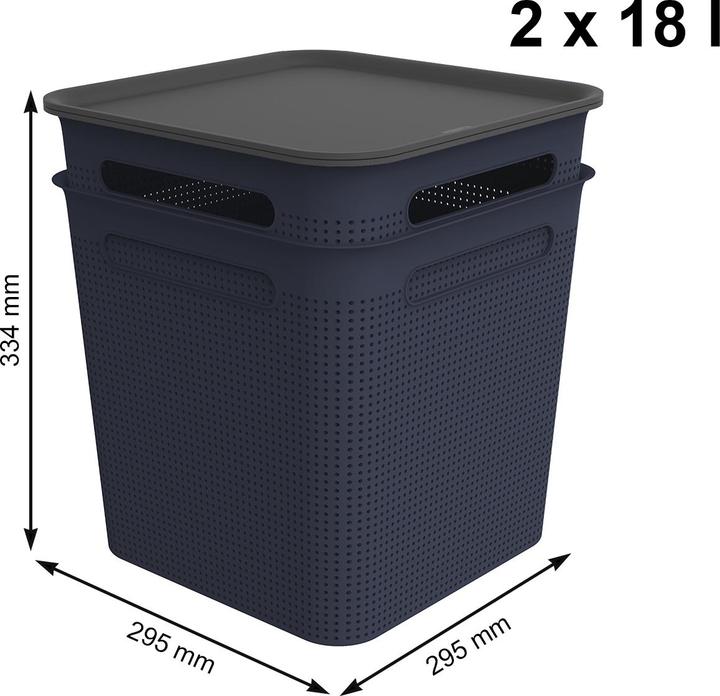 Actual product image Rotho 2er Set Boxen mit Deckel 18 l BRISEN (18 l)