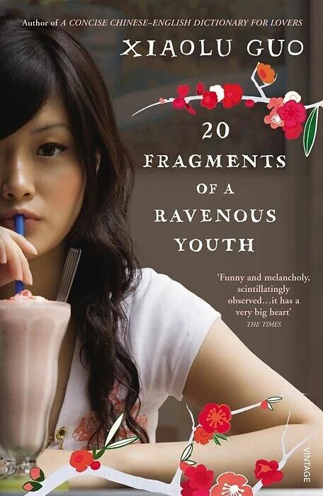Actual product image 20 Fragments of a Ravenous Youth (English, 2009)