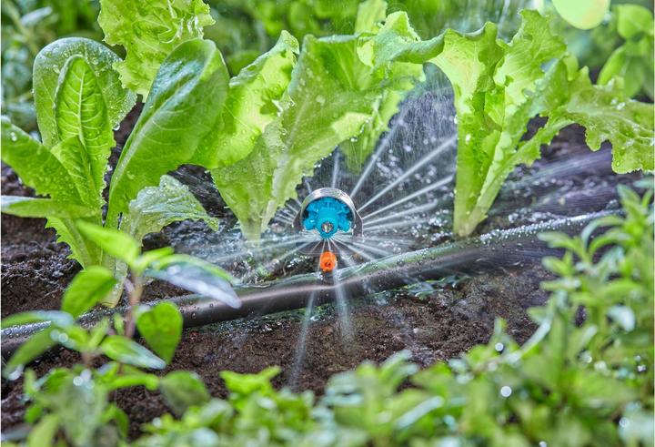 Actual product image Gardena Micro-Drip-System (Drip irrigation dripper)