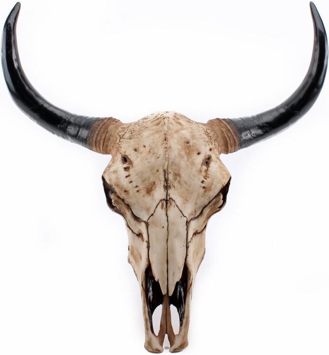 Produktbild Interstil Texas Longhorn