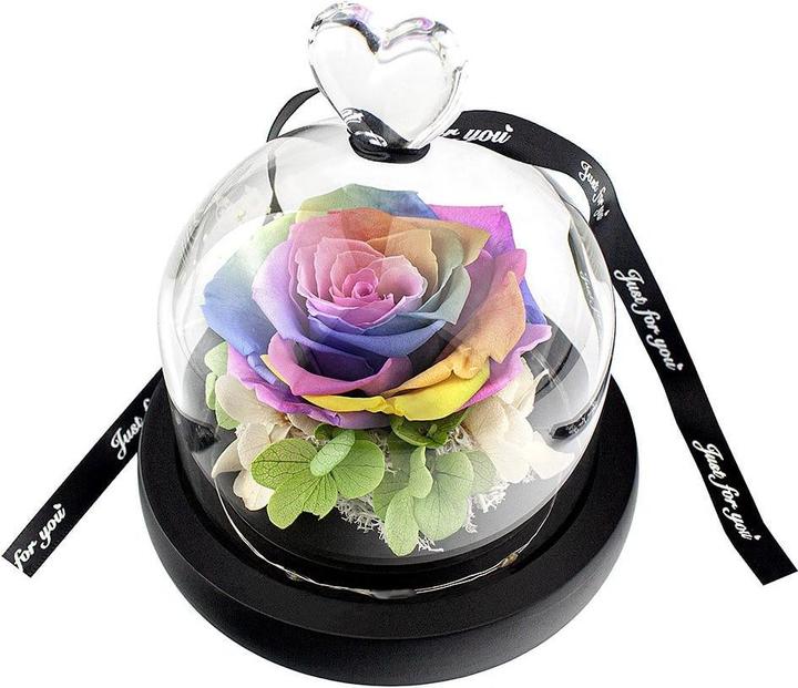 Image du produit JTI Petite rose sous cloche - Couleurs arc-en-ciel (15 cm)