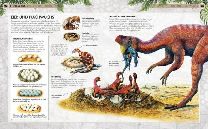 Produktbild Dinosaurier - Das grosse Lexikon (Deutsch, Michael K. Brett-Surman, 2022)