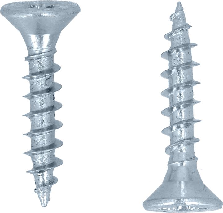 Actual product image Helpmate Holzverbinderschraube (100 Screws per piece)