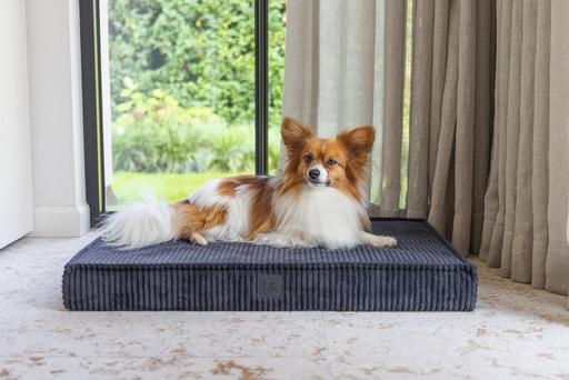 Actual product image Designed by Lotte Orthopaed cage cushion Ribbed (Dog)
