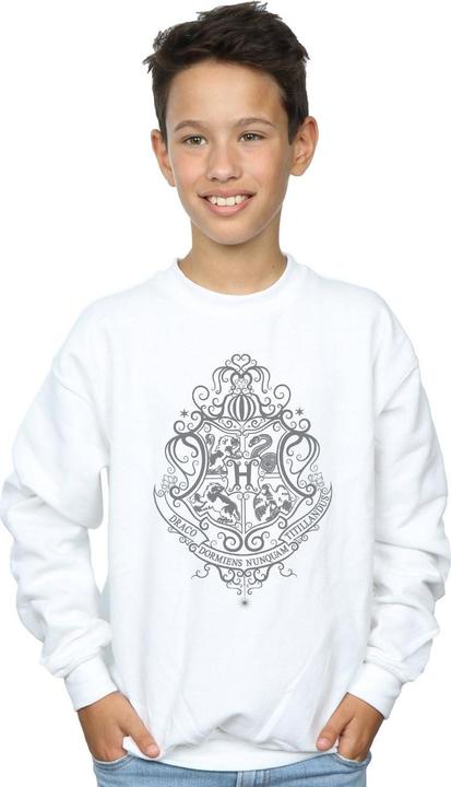 Image du produit - Sweat HOGWARTS DRACO DORMIENS CREST - Garçon (140, 146)