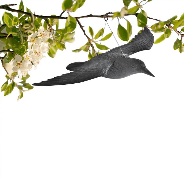 Image du produit Gardigo Set de 4 répulsifs pour oiseaux Faucon, envergure des ailes 59 cm