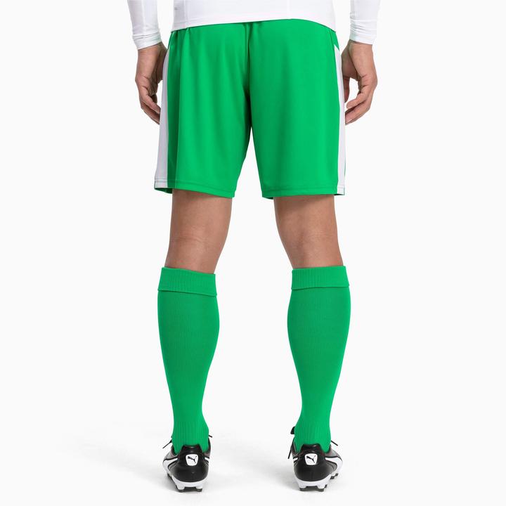 Actual product image Puma Team LIGA Socks CORE-703441 (35, 38)
