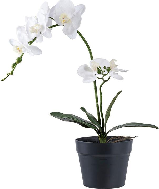 Immagine prodotto House Nordic Orchidea (47 cm)