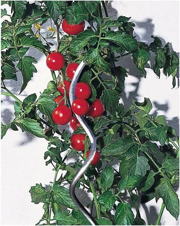 Windhager Tomatenspiralstab (6 cm, 6 cm)