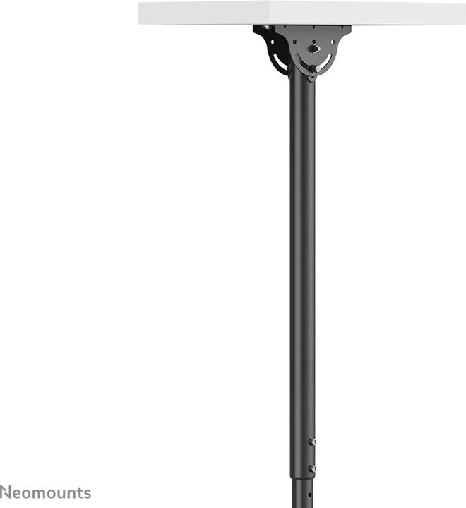 Actual product image Neomounts CL35-340BL12 (Ceiling, 42", 50 kg)