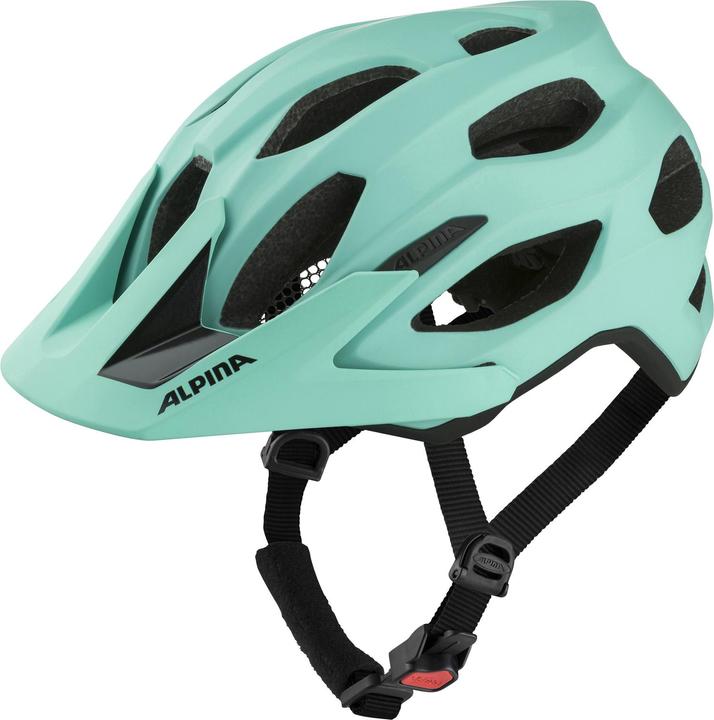 ALPINA SPORTS Carapax 2.0 (52 - 57 cm)